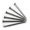 flat head polished plain common nail smooth shank clout nails 7/8" small galvanized nails 8d 10d